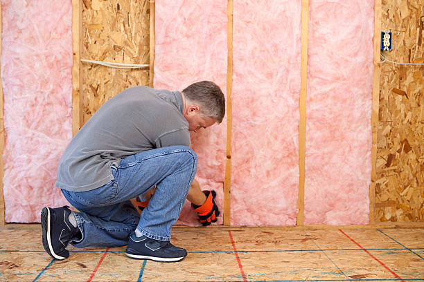 Best Eco-Friendly Insulation in Buena Park, CA