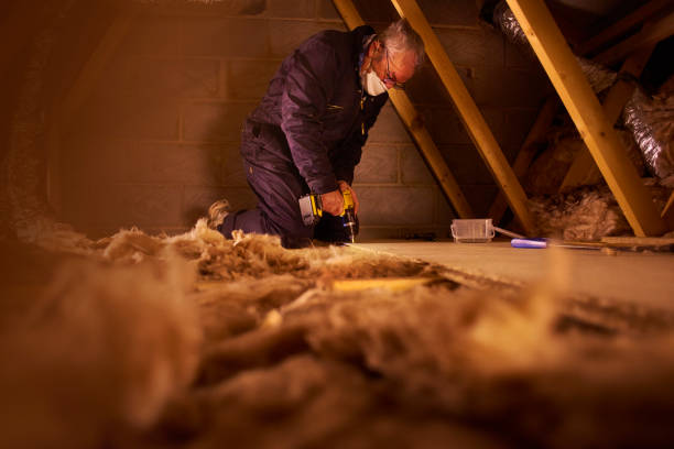 Types of Insulation We Offer in Buena Park, CA